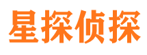 乐都市调查公司